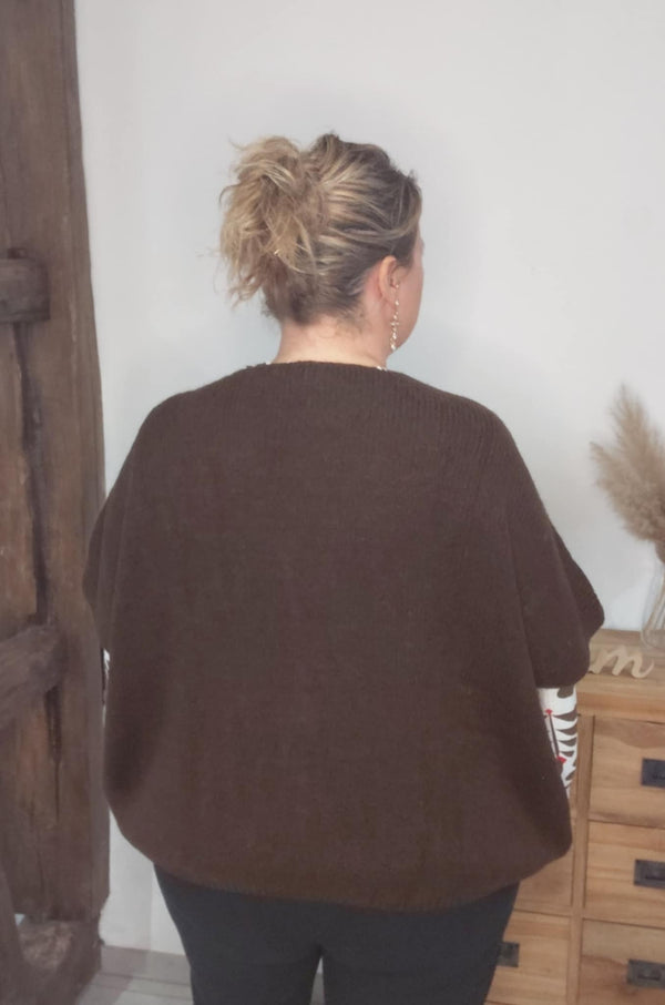 Gilet MADONNE marron