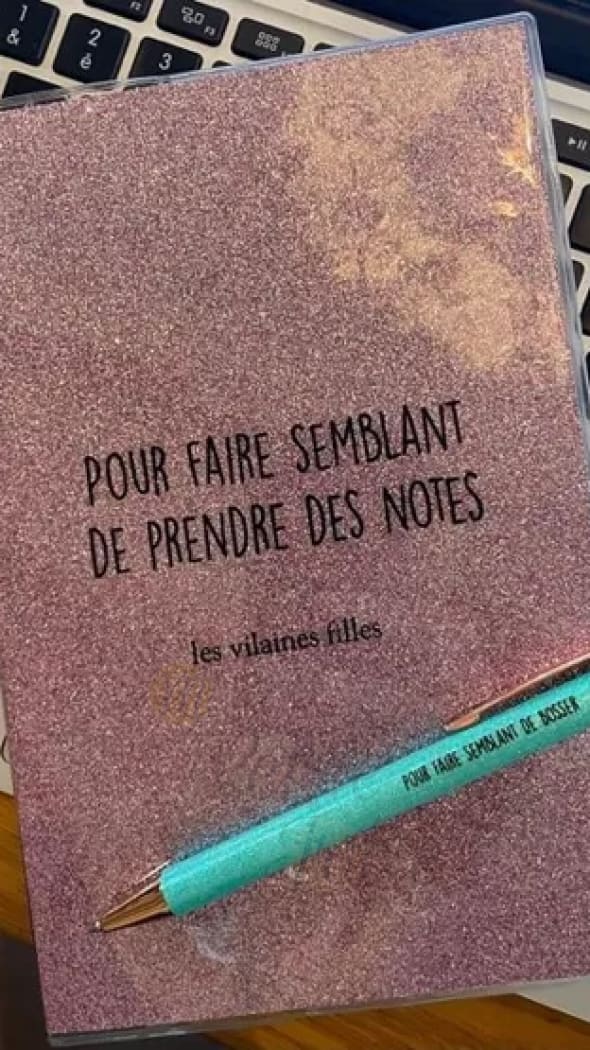 Carnet ’POUR FAIRE SEMBLANT DE PRENDRE DES NOTES ’